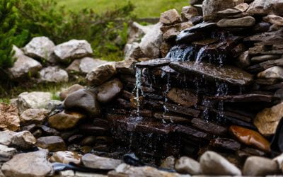 What Water Features Should You Include in Your Landscaping